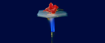 Aerogel (New State of Matter) has excellent insulating properties.