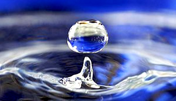 Liquid