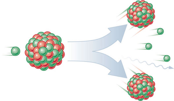 Nuclear Fission of U236
