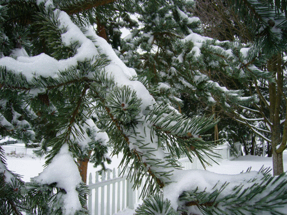 Melting of snow is an Isothermal process