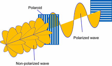 A polarized light