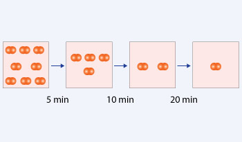 Second order reaction