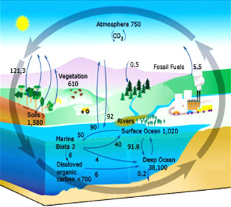 Occurrence of carbon.
