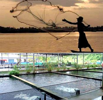 Types of fisheries