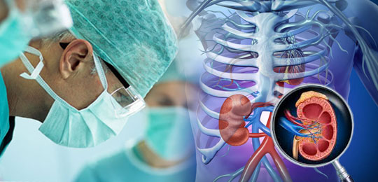  Xenotransplantation – The last cure for renal failure 