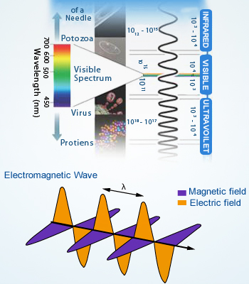 Electromagnetic Spectrum and Electromagnetic Wave